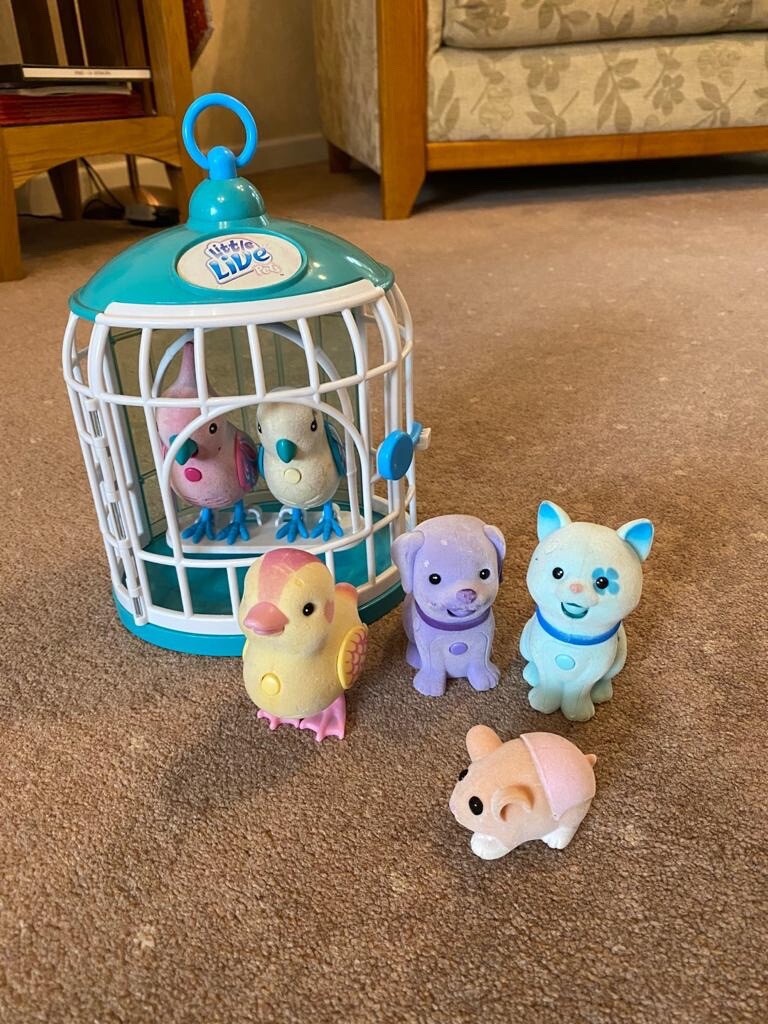 outside doors with doggie door built in